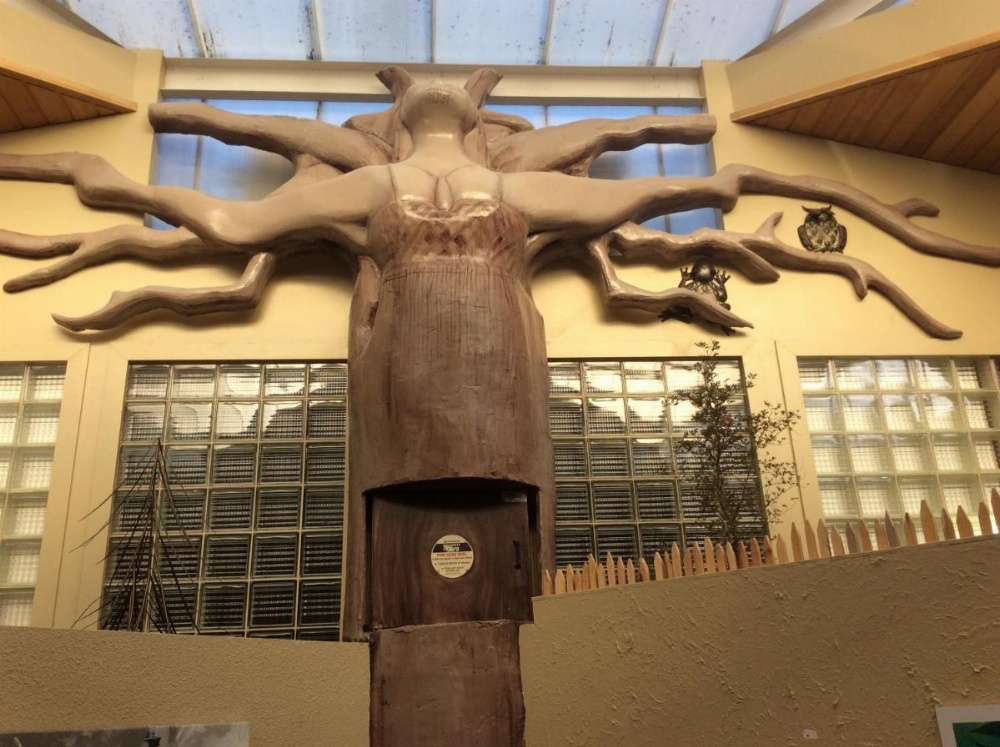 Tahuna Pod Hostel Image 17